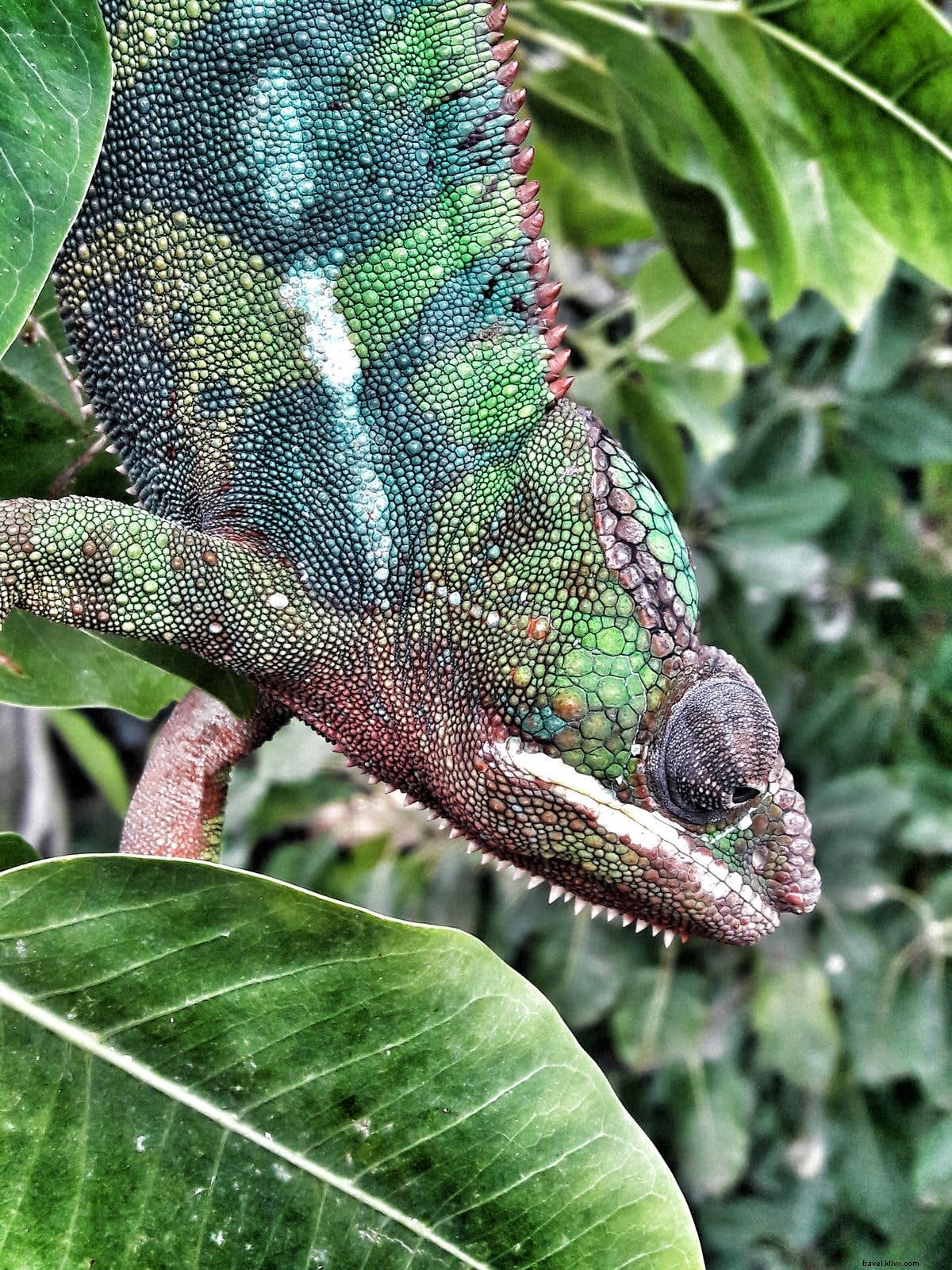 Best Winter Walking Spots in Dubai: Top Parks, Trails, and Scenic Paths