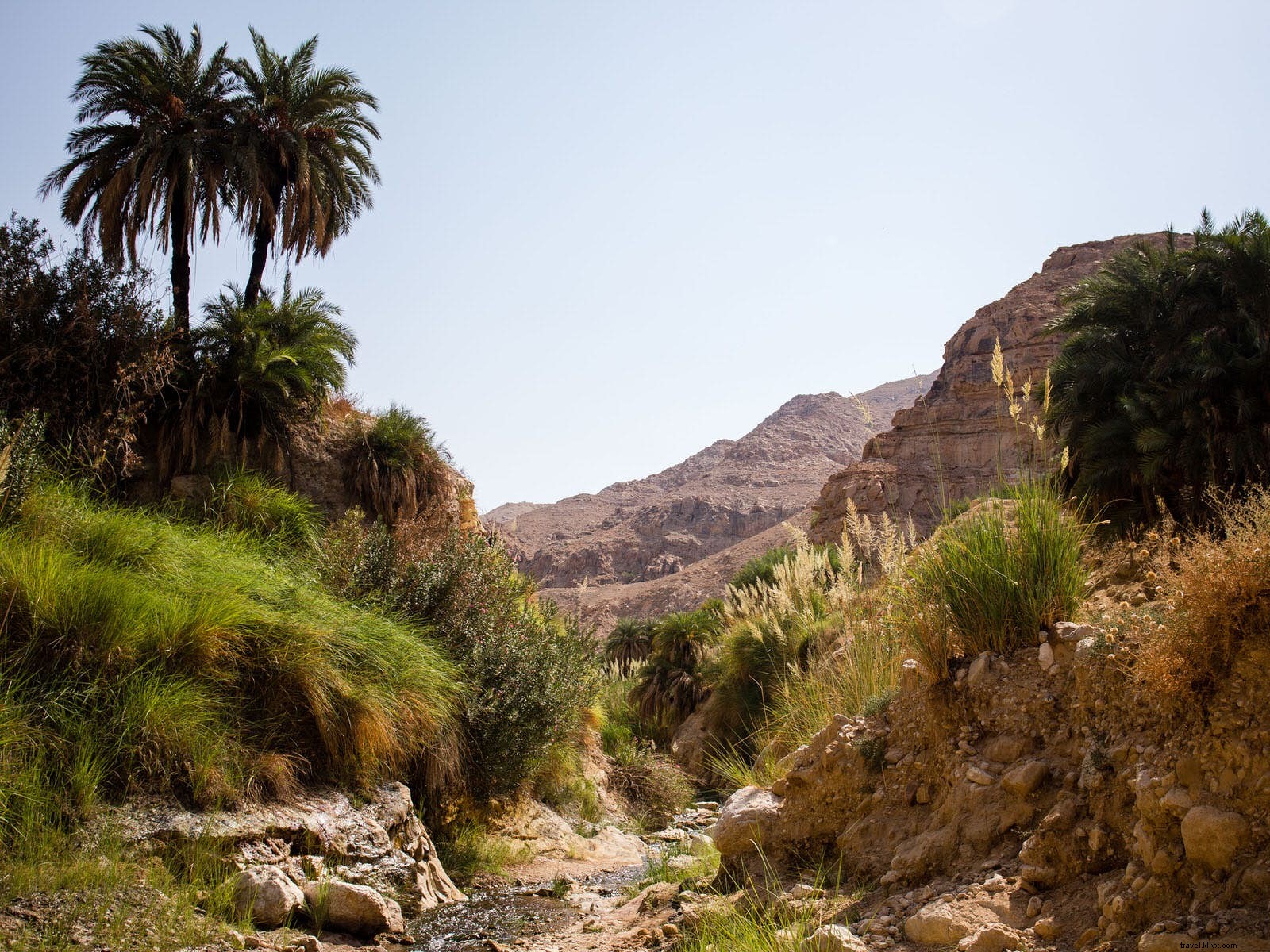 Ultimate Guide to Hiking Wadis and Waterfalls Along Jordan s Dead Sea Coast