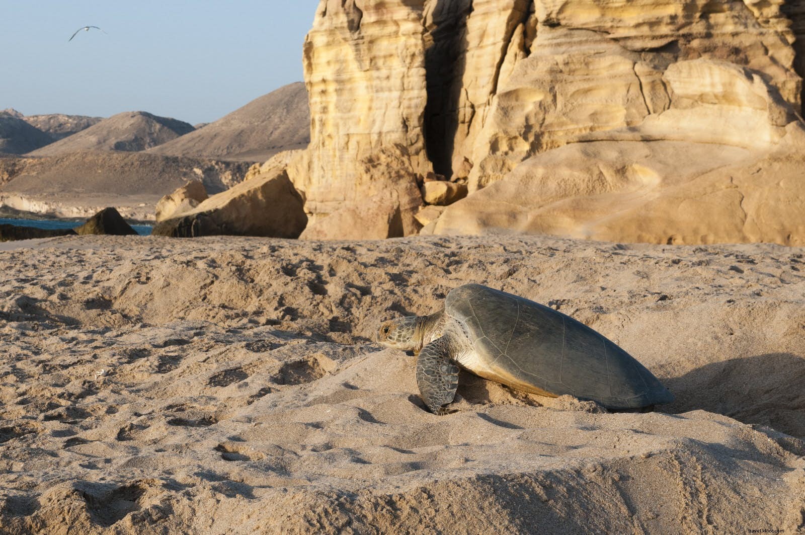 Discover 10 Unmissable Natural Wonders in Oman