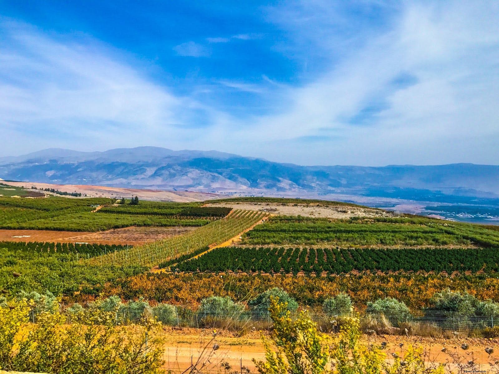 Lebanon s Wine Trail: Exploring Ancient Vineyards in Bekaa Valley and Batroun