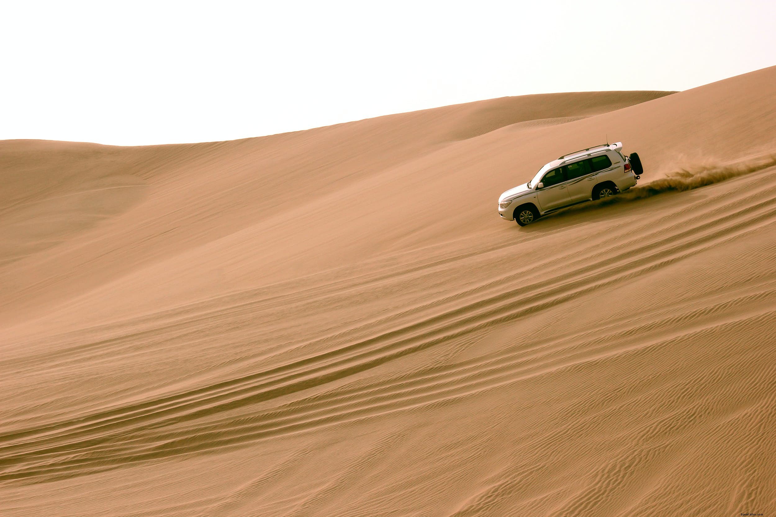 Ultimate Guide to Qatar s Thrilling Outdoor Adventures: Desert, Sea, and Culture