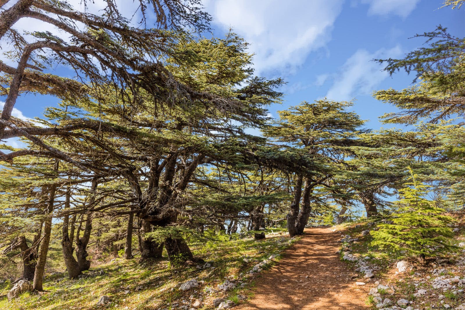 Explore the Lebanon Mountain Trail: Top Scenic Hikes Across Lebanon s Borders