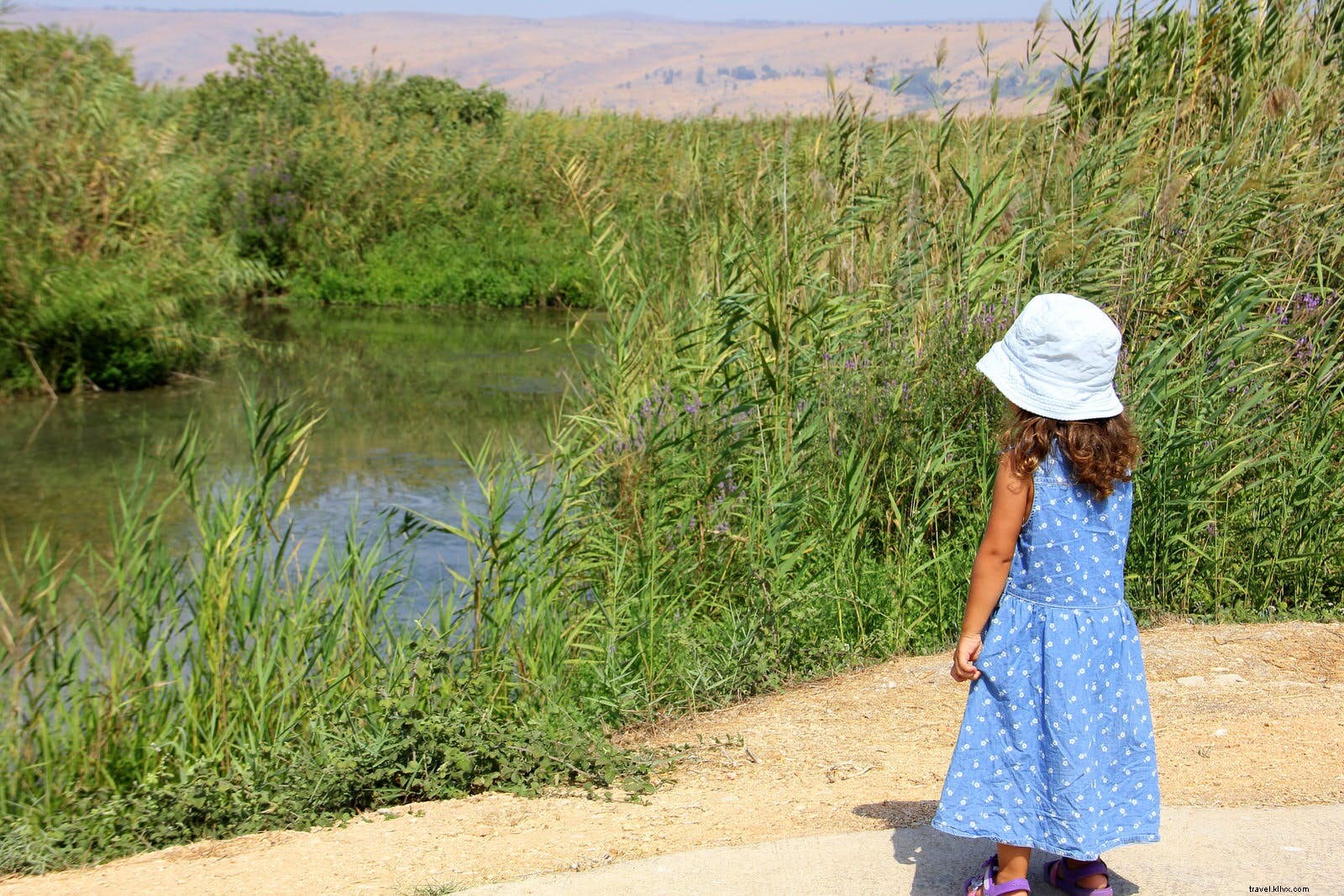 Top Family-Friendly Activities in Israel: Best Things to Do with Kids
