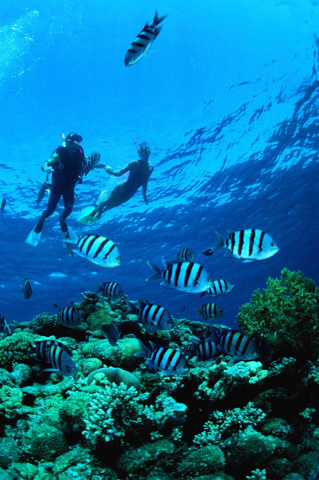 Eilat s Ultimate Guide: Top Activities from Red Sea Diving to Negev Desert Adventures