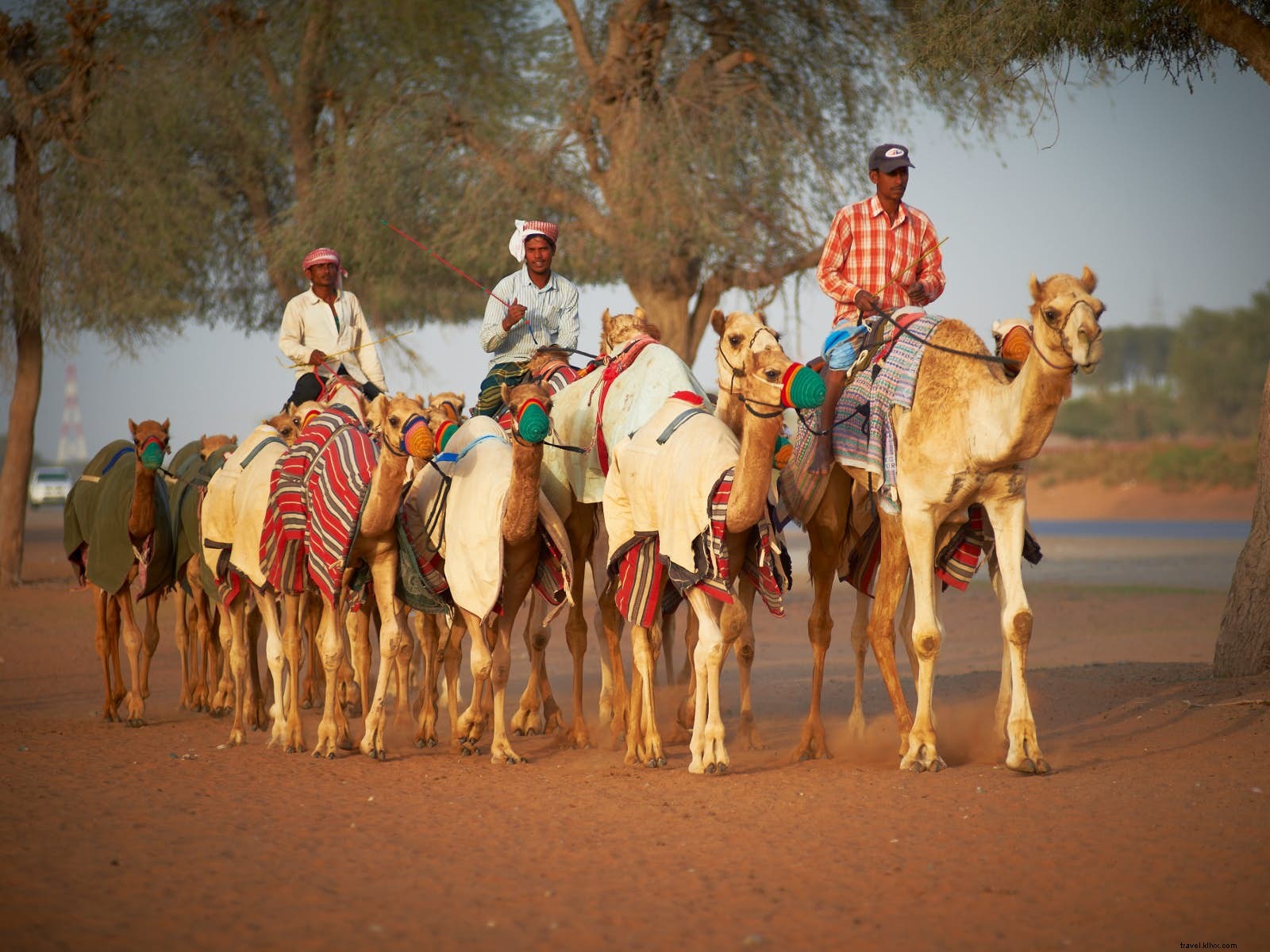 Top Adrenaline Adventures in Ras Al Khaimah: Jebel Jais Ziplines, Desert Dune Bashing & More