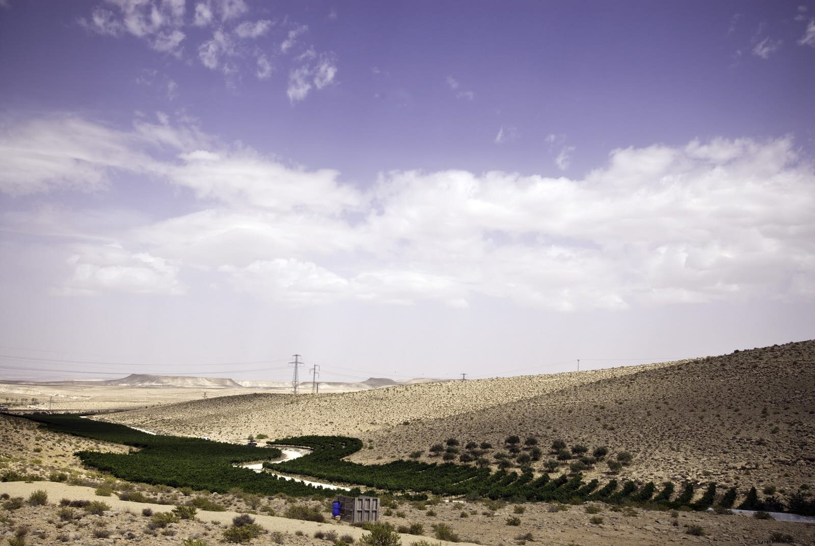 Israel s Negev Desert Wine Route: A 3-Day Itinerary Through Pioneering Vineyards