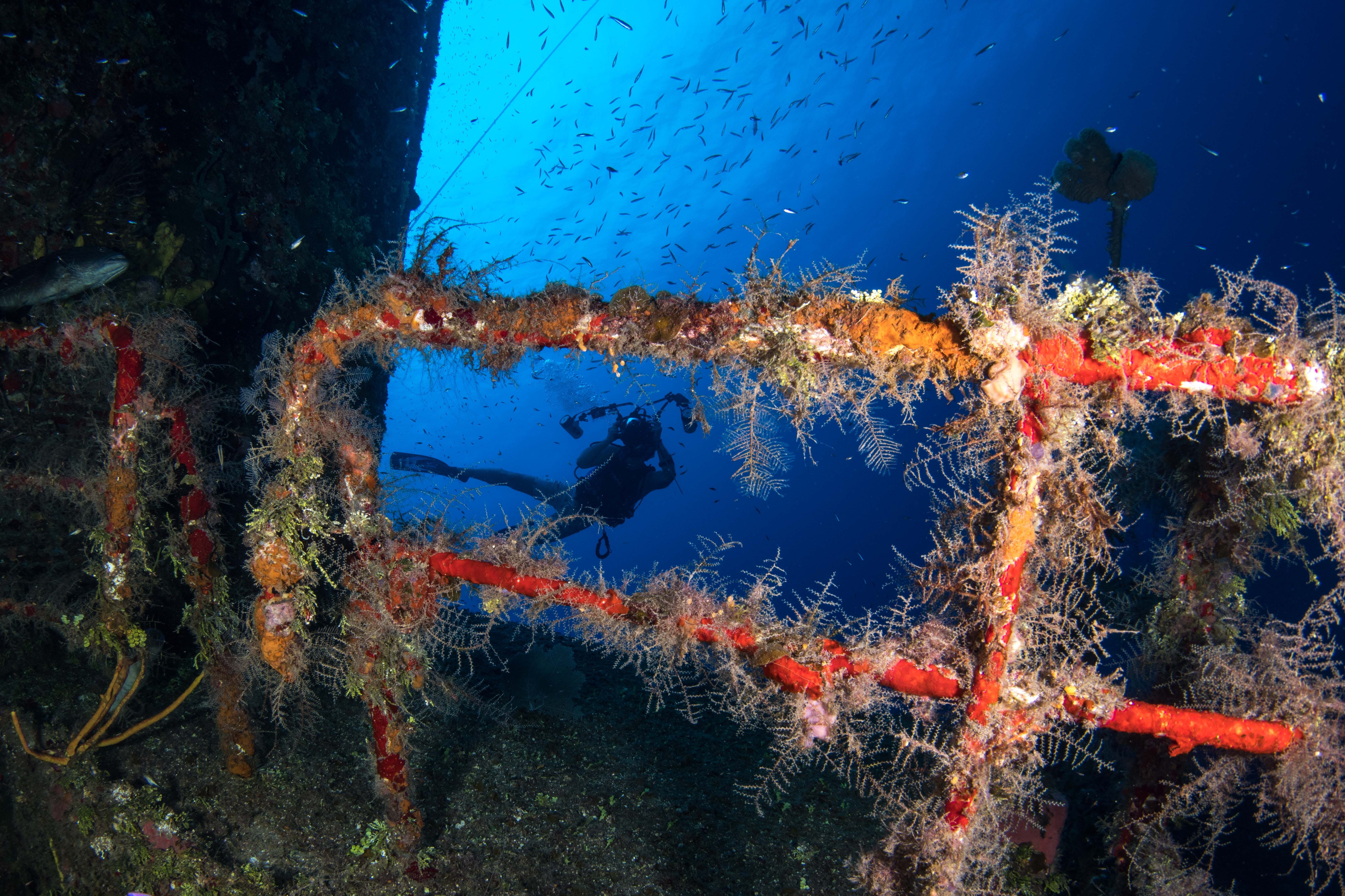 Top 10 Must-See Experiences in Central America for First-Time Visitors