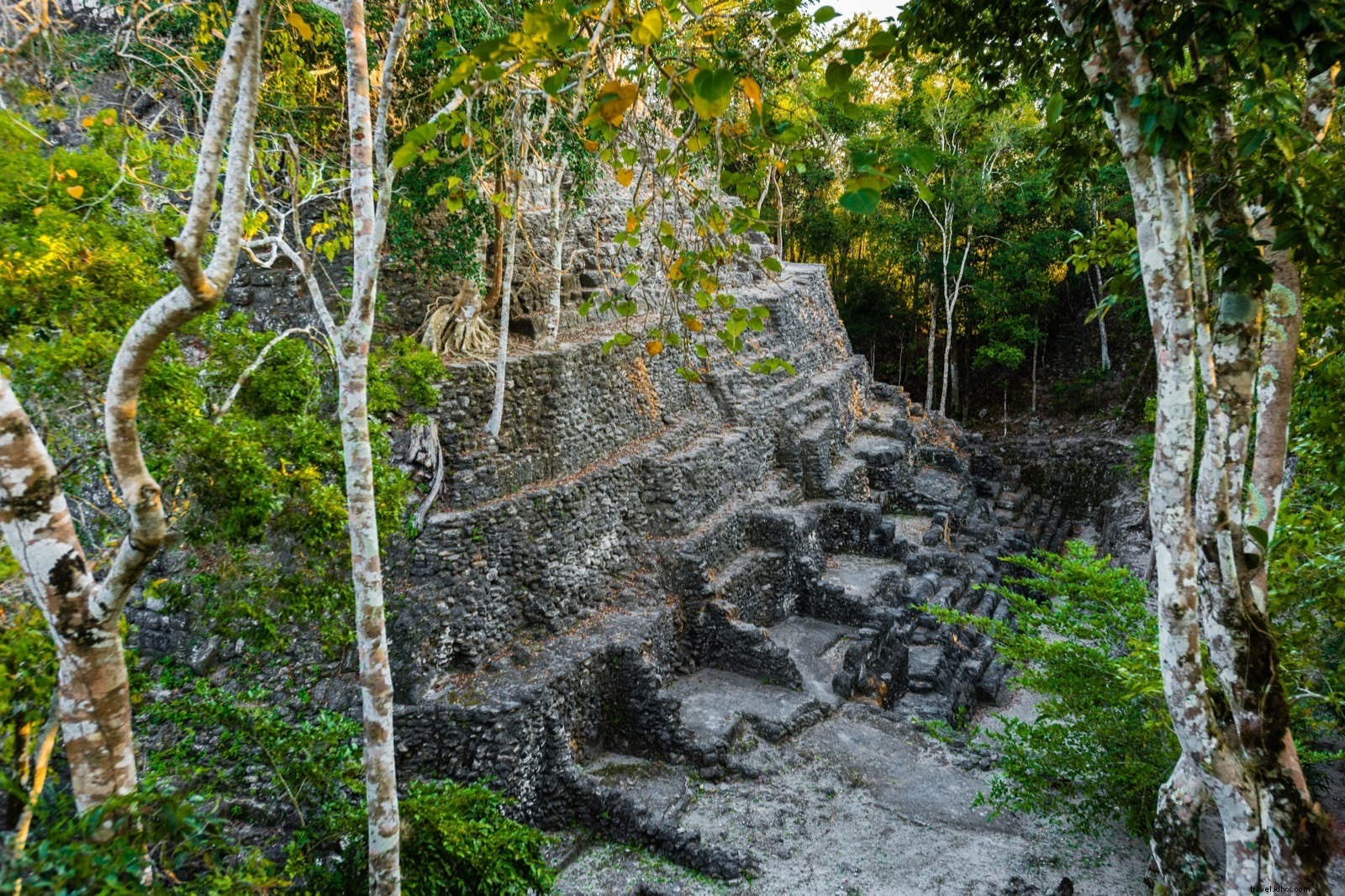 El Mirador: Discovering Guatemala s Largest and Most Mysterious Maya Pyramid