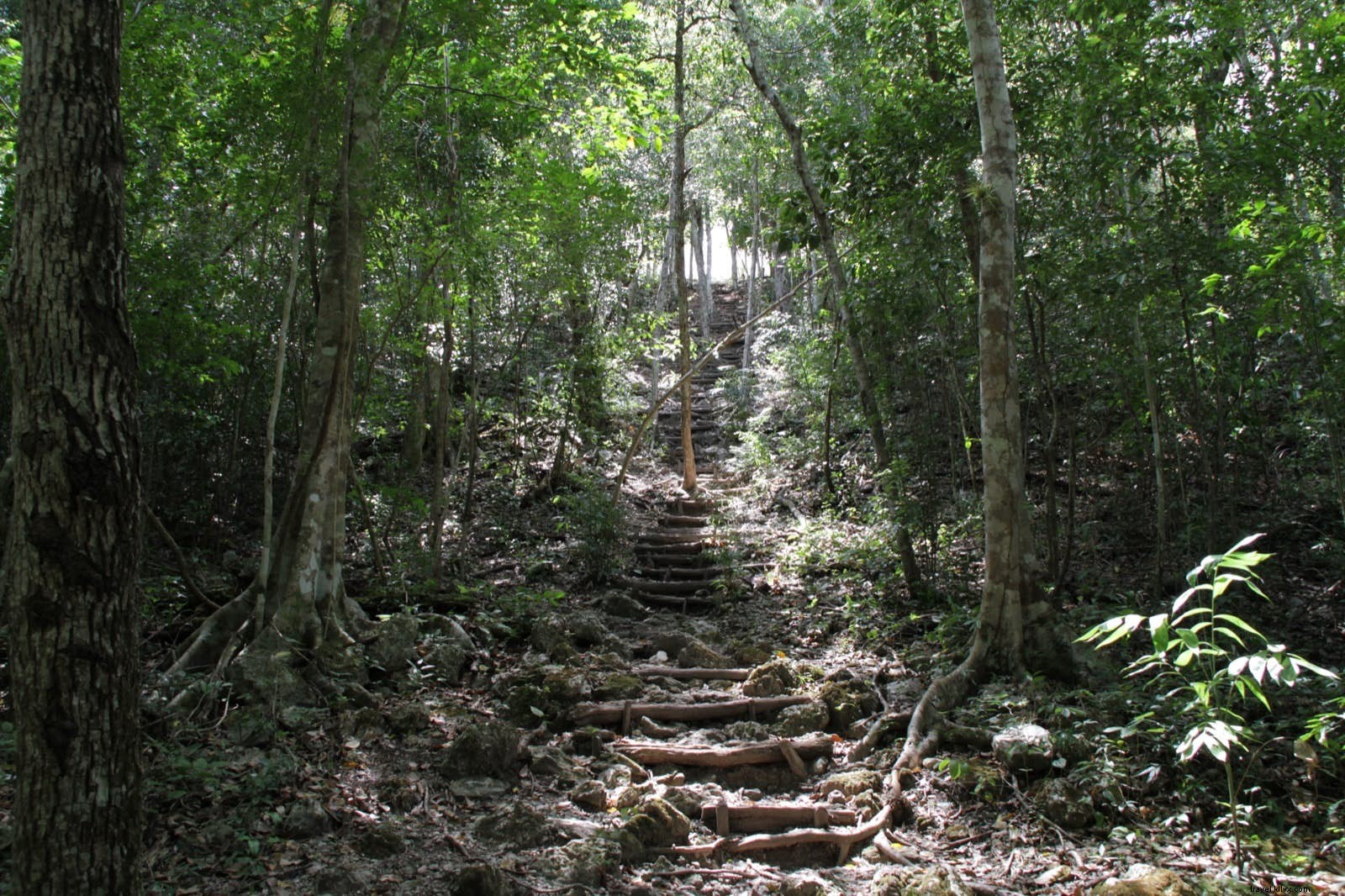 El Mirador: Discovering Guatemala s Largest and Most Mysterious Maya Pyramid