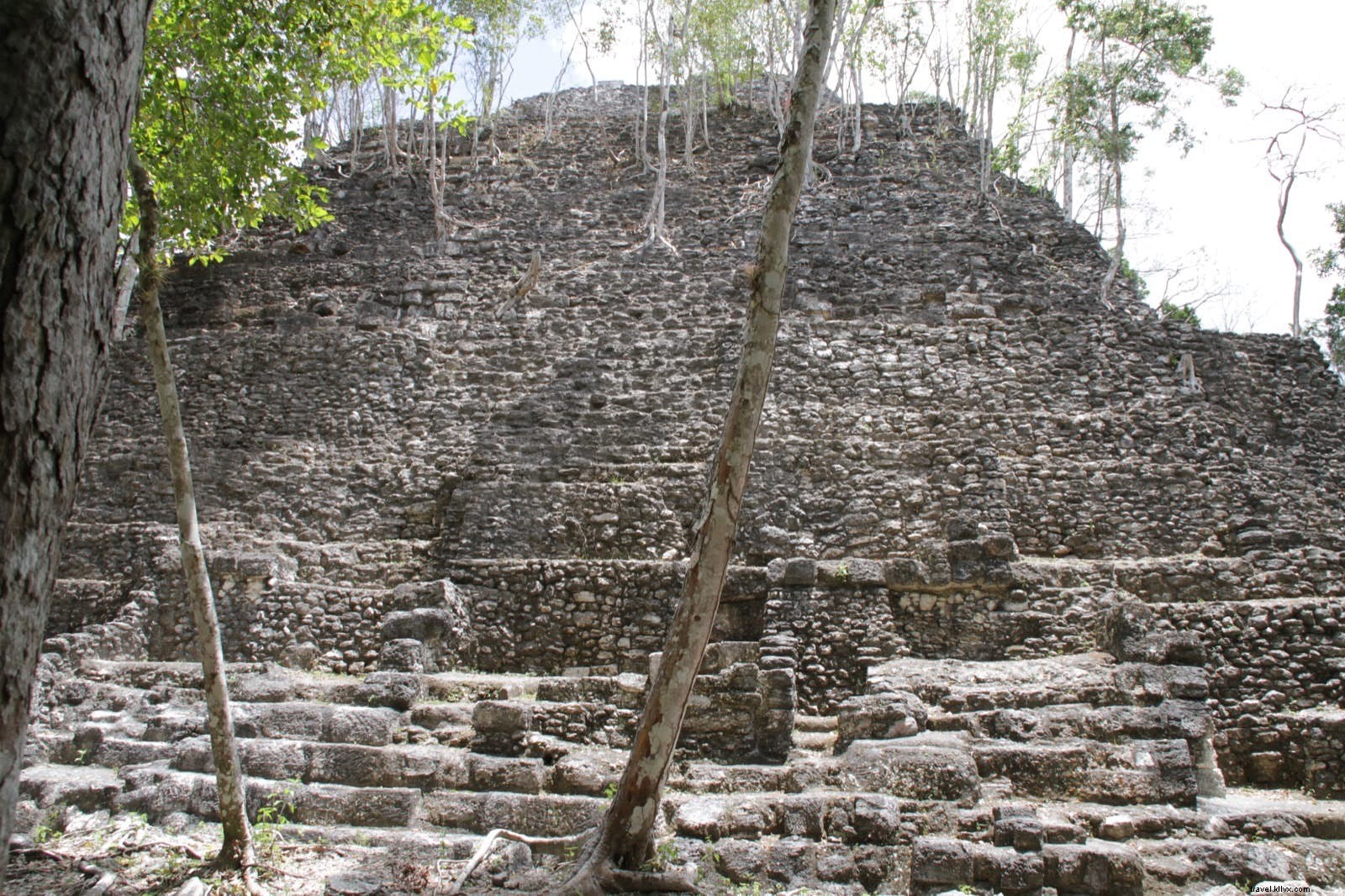 El Mirador: Discovering Guatemala s Largest and Most Mysterious Maya Pyramid