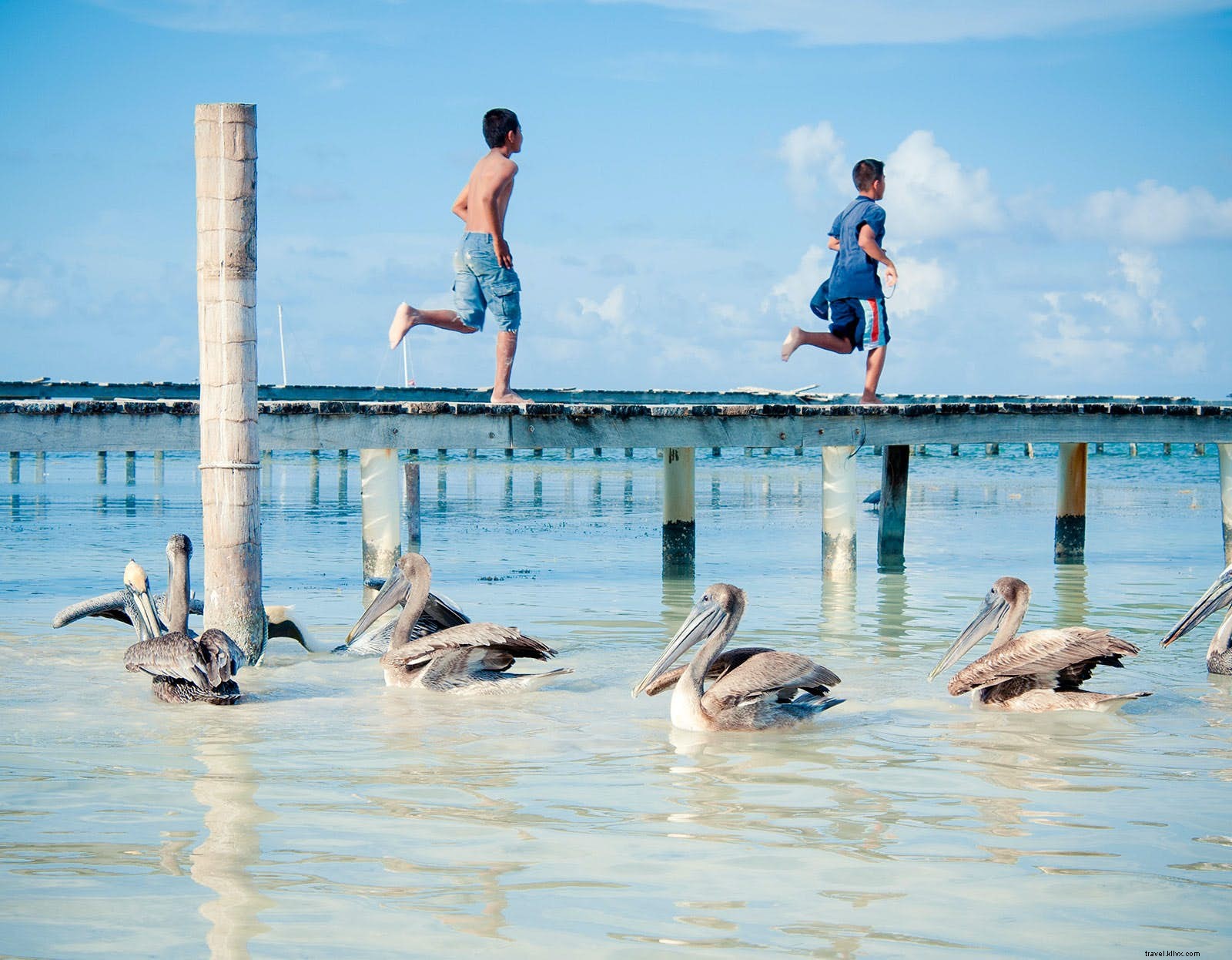 Family-Friendly Adventures in Belize: Wildlife, Thrills, and Beach Bliss