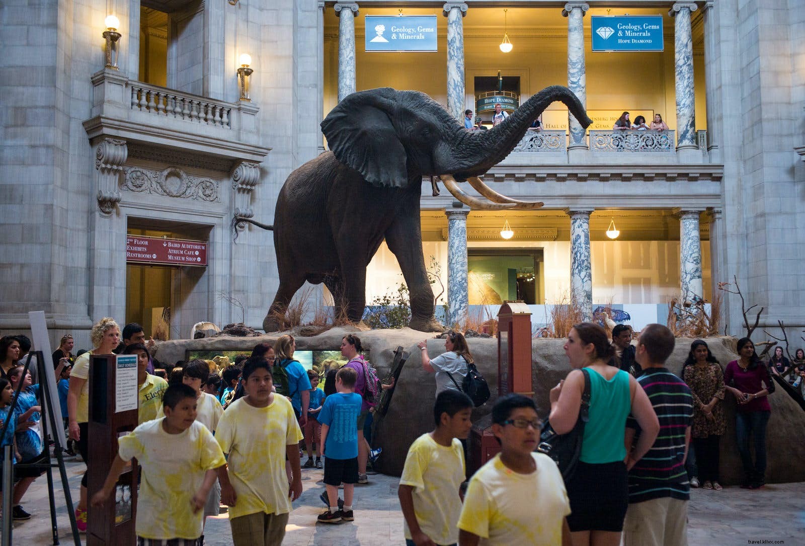 5 Mind-Blowing Museums from  50 Museums to Blow Your Mind 