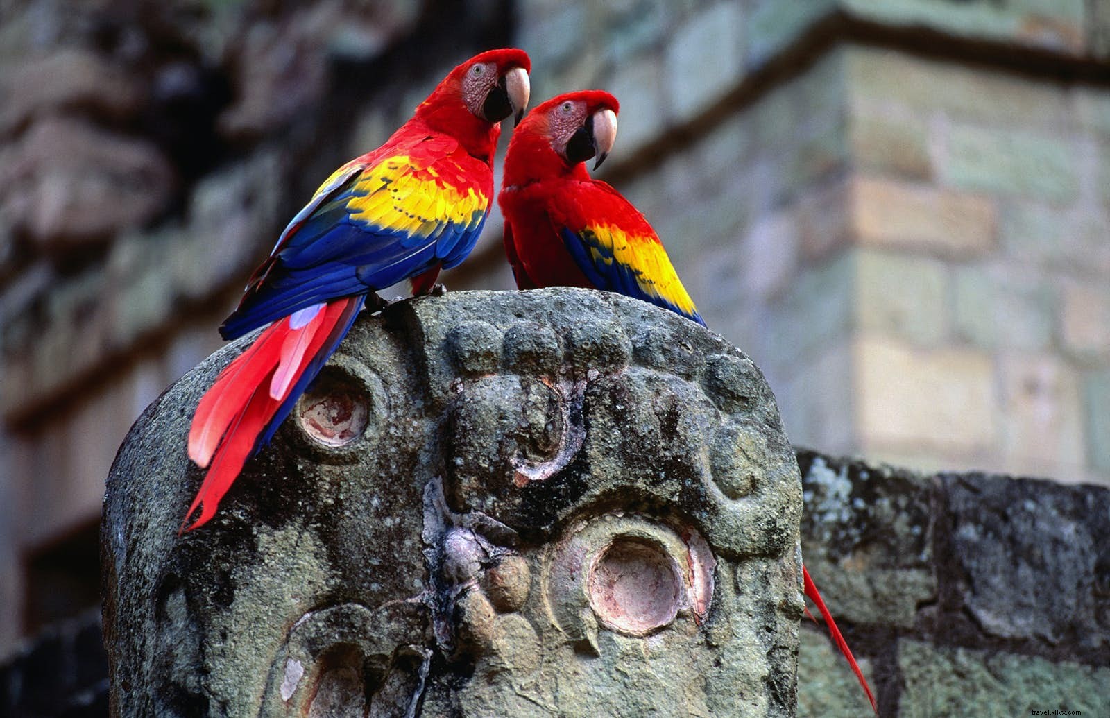Discover Honduras: 10 Compelling Reasons to Explore This Hidden Central American Gem