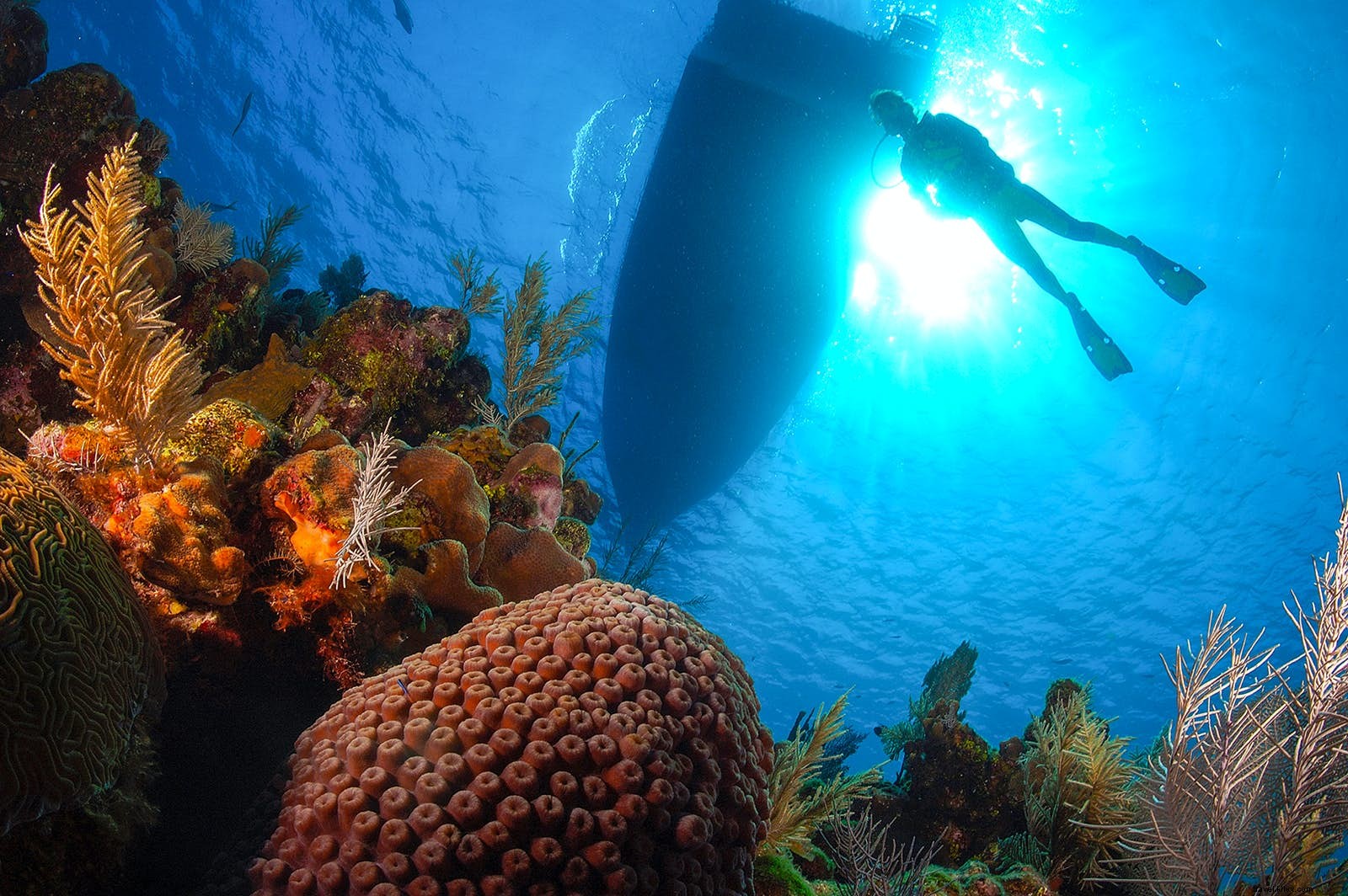 Budget Island Hopping: Central America s Caribbean Coast Gems