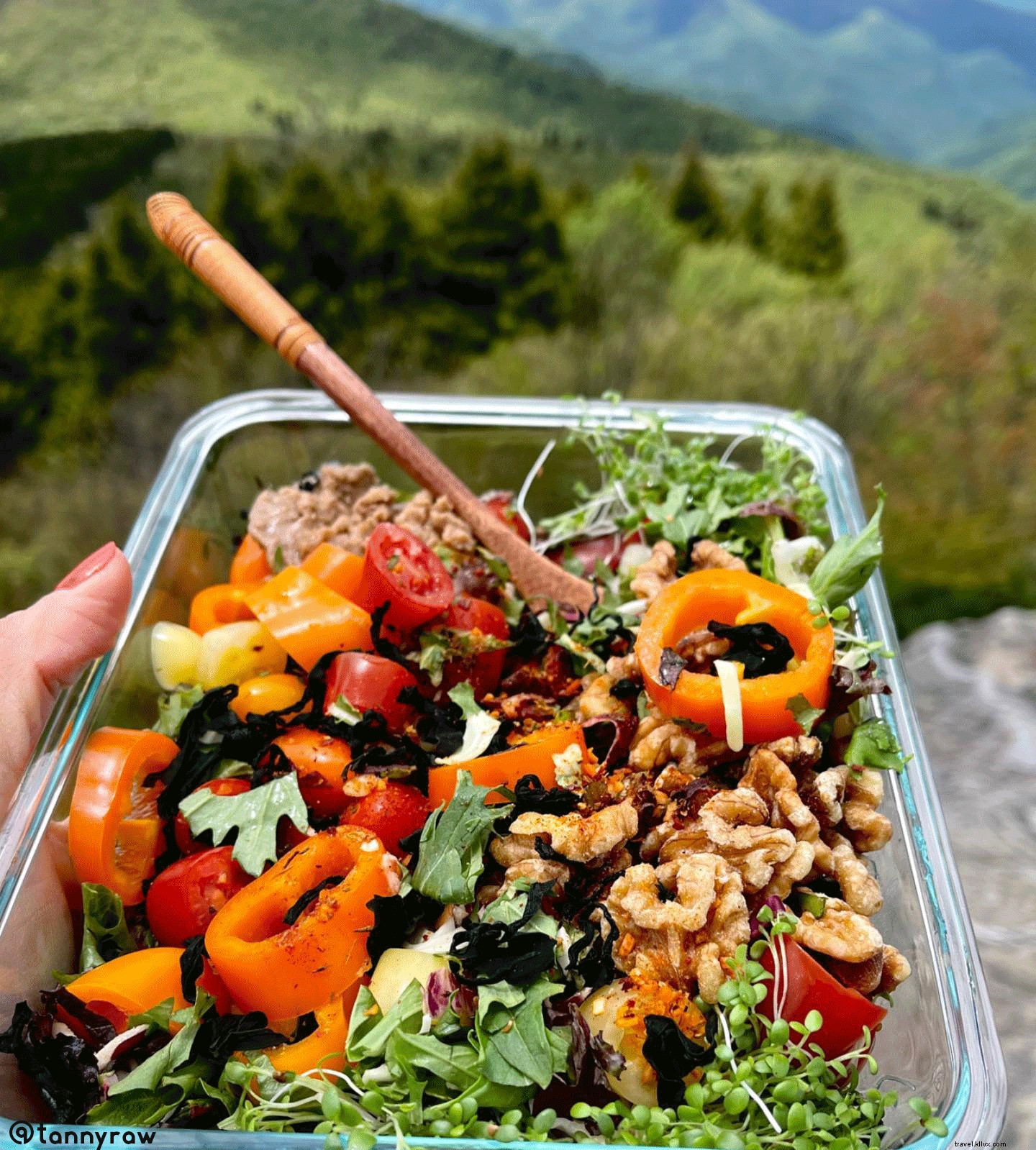 Savor Farm-Fresh Produce on Your NC Smokies Vacation: Vacationer Supported Agriculture Launches in Haywood County