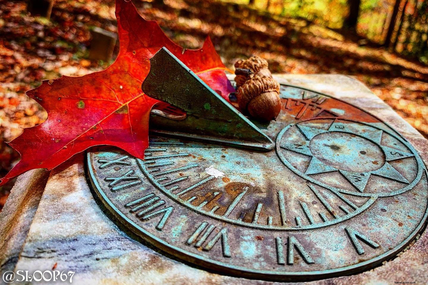 Best Leaf-Peeping Spots in Waynesville: Ultimate Fall Foliage Guide