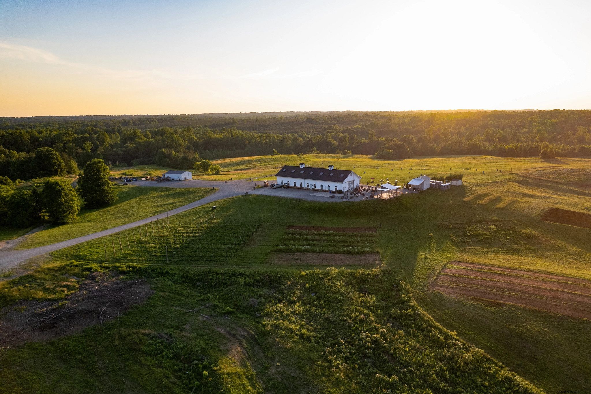 Top Outdoor Music Venues in Virginia: Safe, Scenic Live Music Experiences