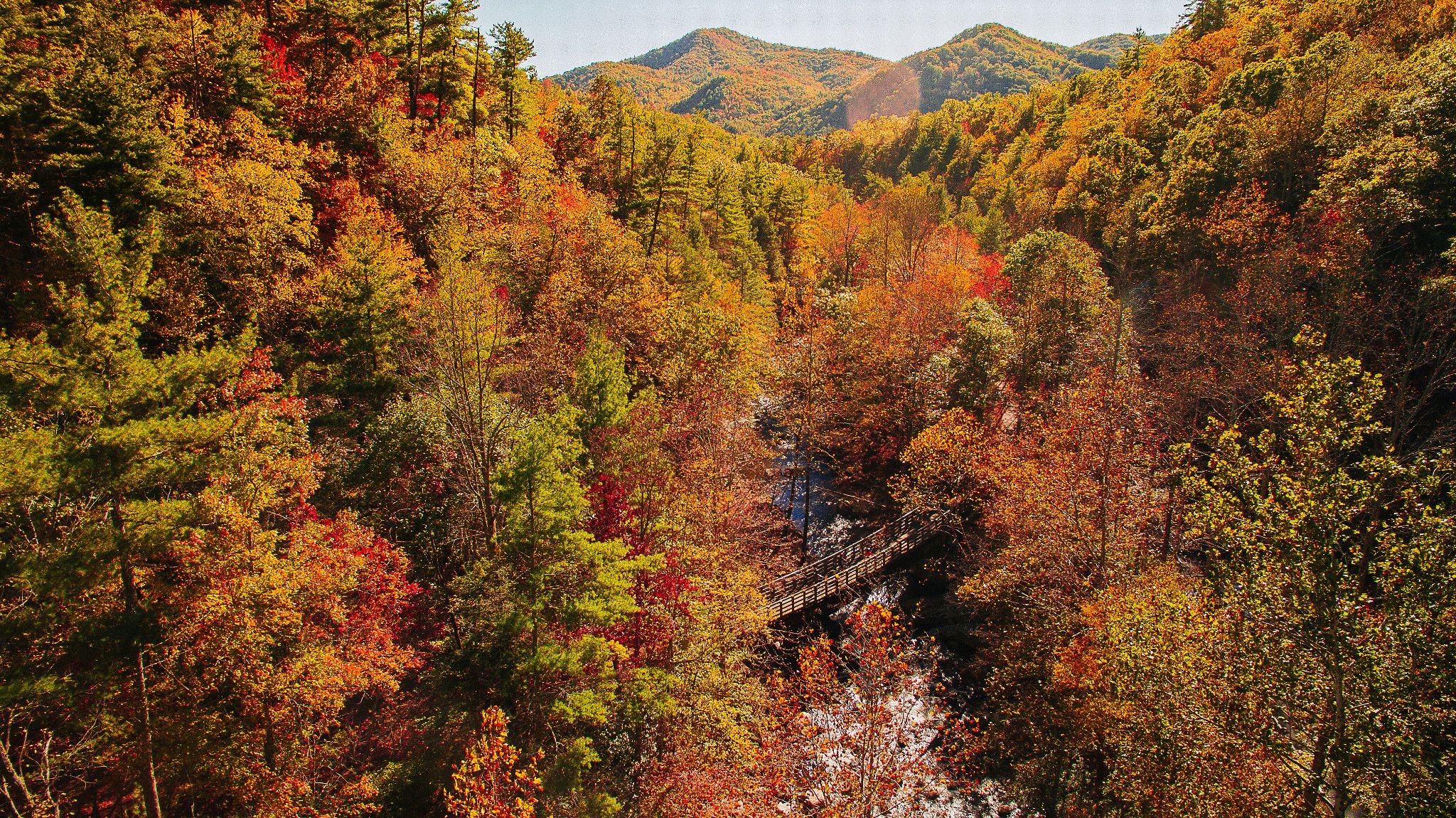 10 Stunning Fall Foliage Destinations in Virginia Beyond Shenandoah National Park