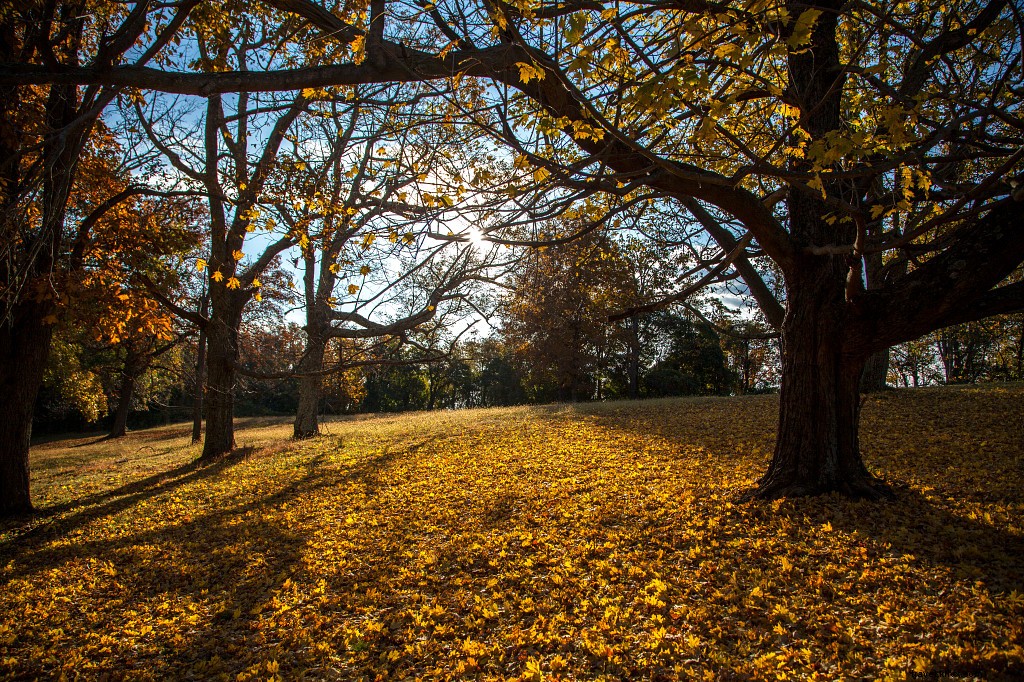 10 Stunning Fall Foliage Destinations in Virginia Beyond Shenandoah National Park