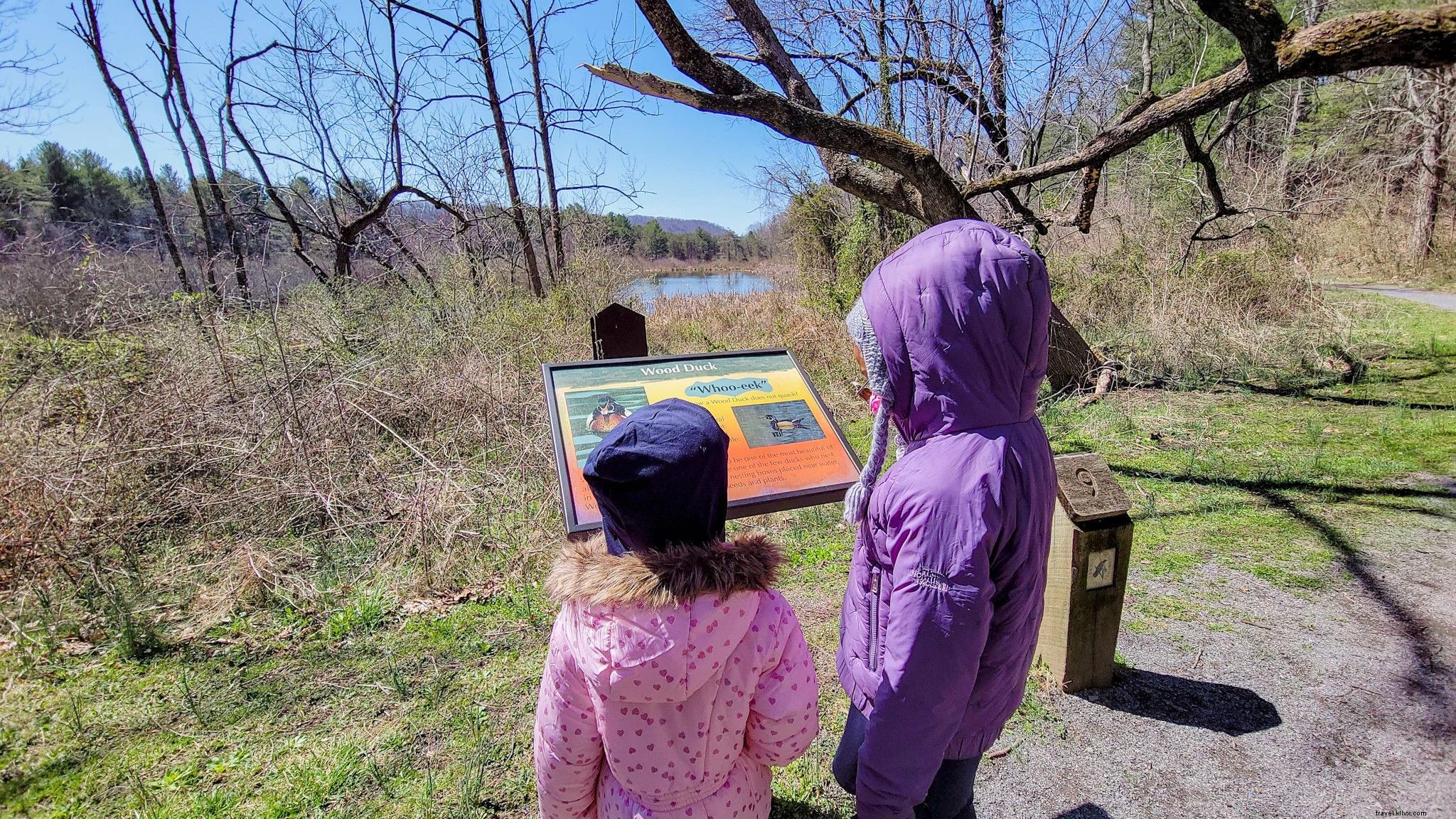 Safe & Fun Summer Adventures: 30+ Kid-Friendly Outdoor Activities in Virginia