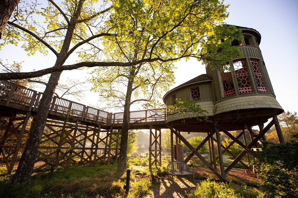 Safe & Fun Summer Adventures: 30+ Kid-Friendly Outdoor Activities in Virginia