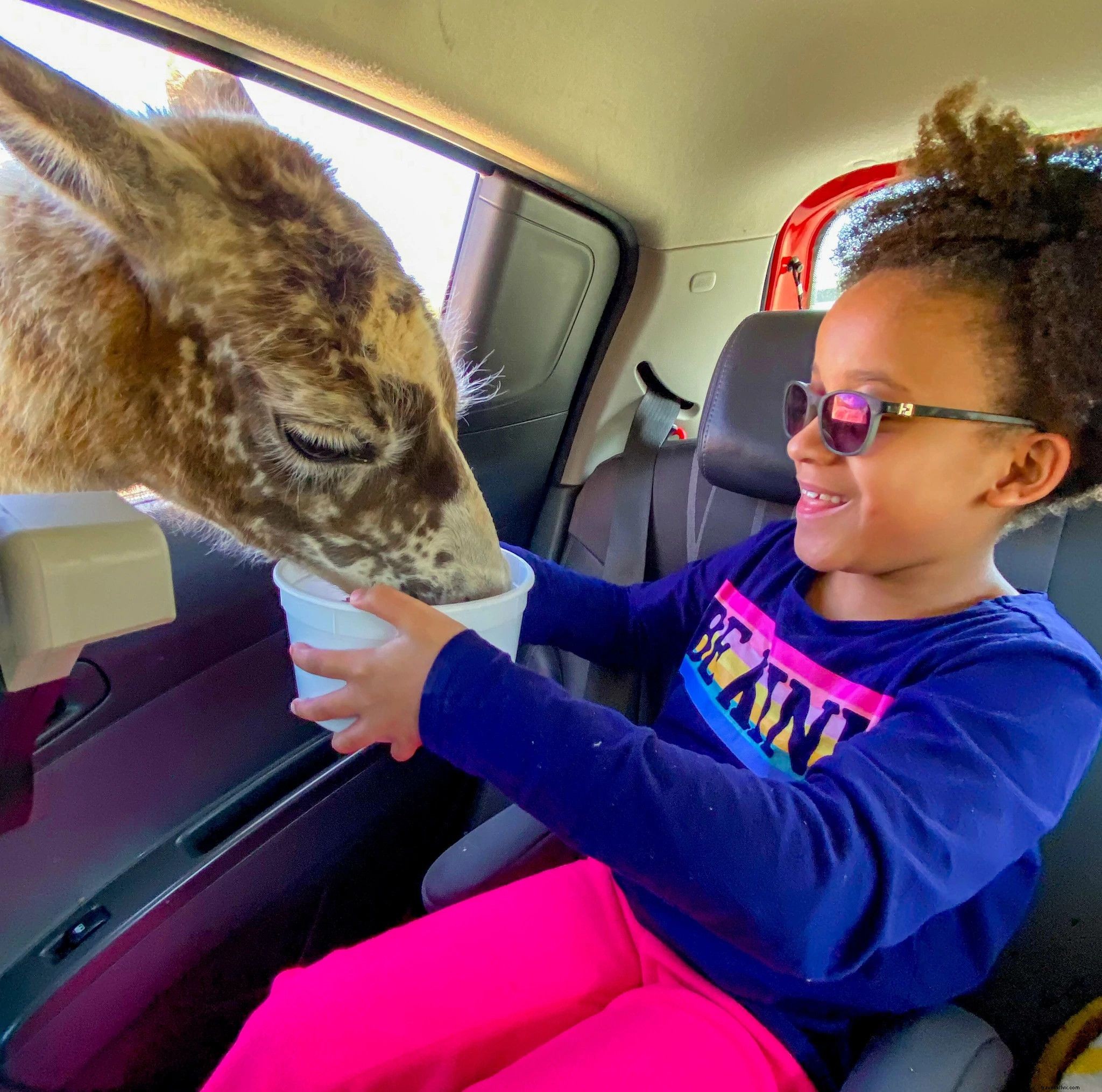 Safe & Fun Summer Adventures: 30+ Kid-Friendly Outdoor Activities in Virginia