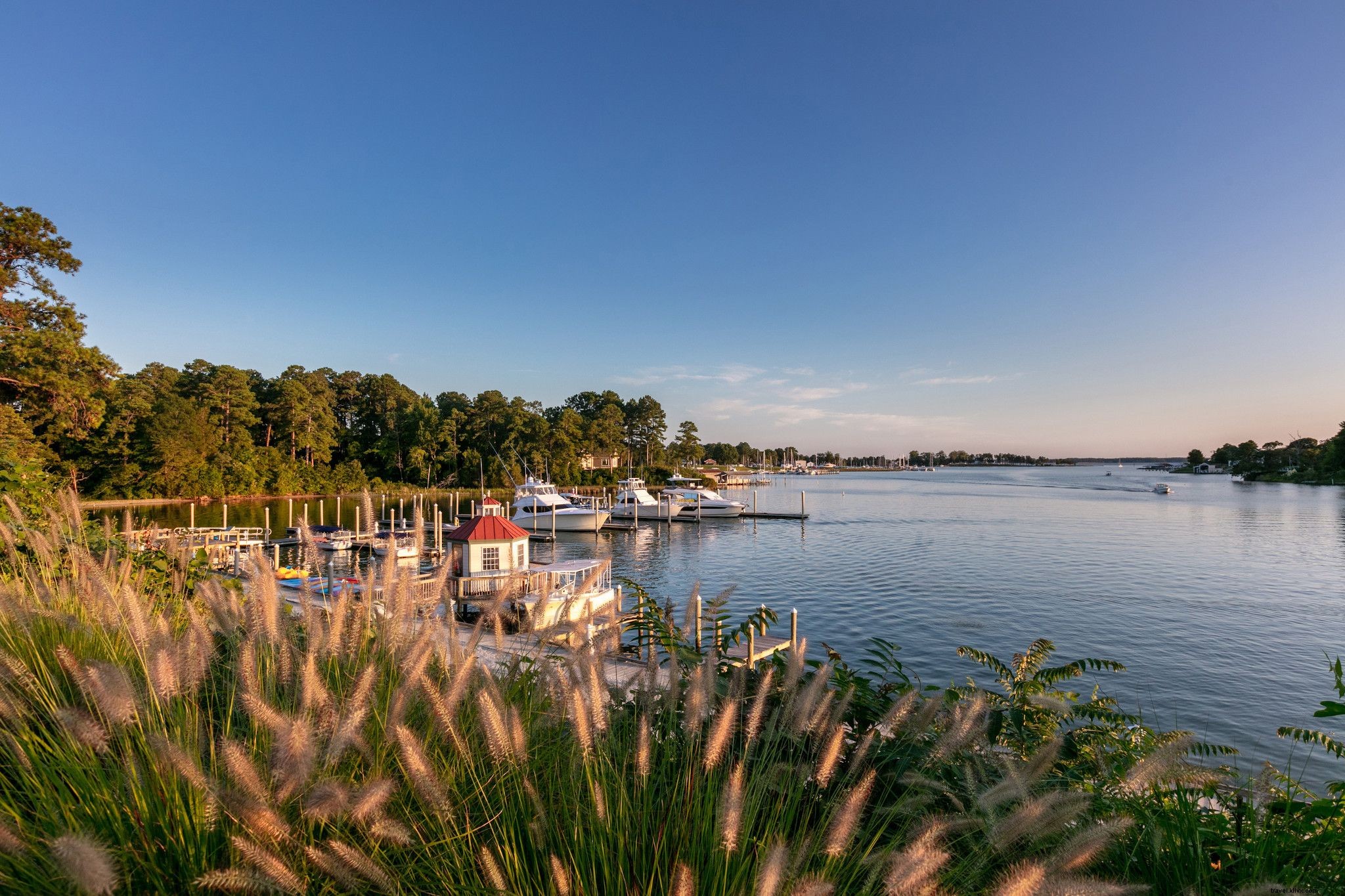 6 Epic Waterfront Road Trips in Virginia for Your Ultimate WanderLove Adventure