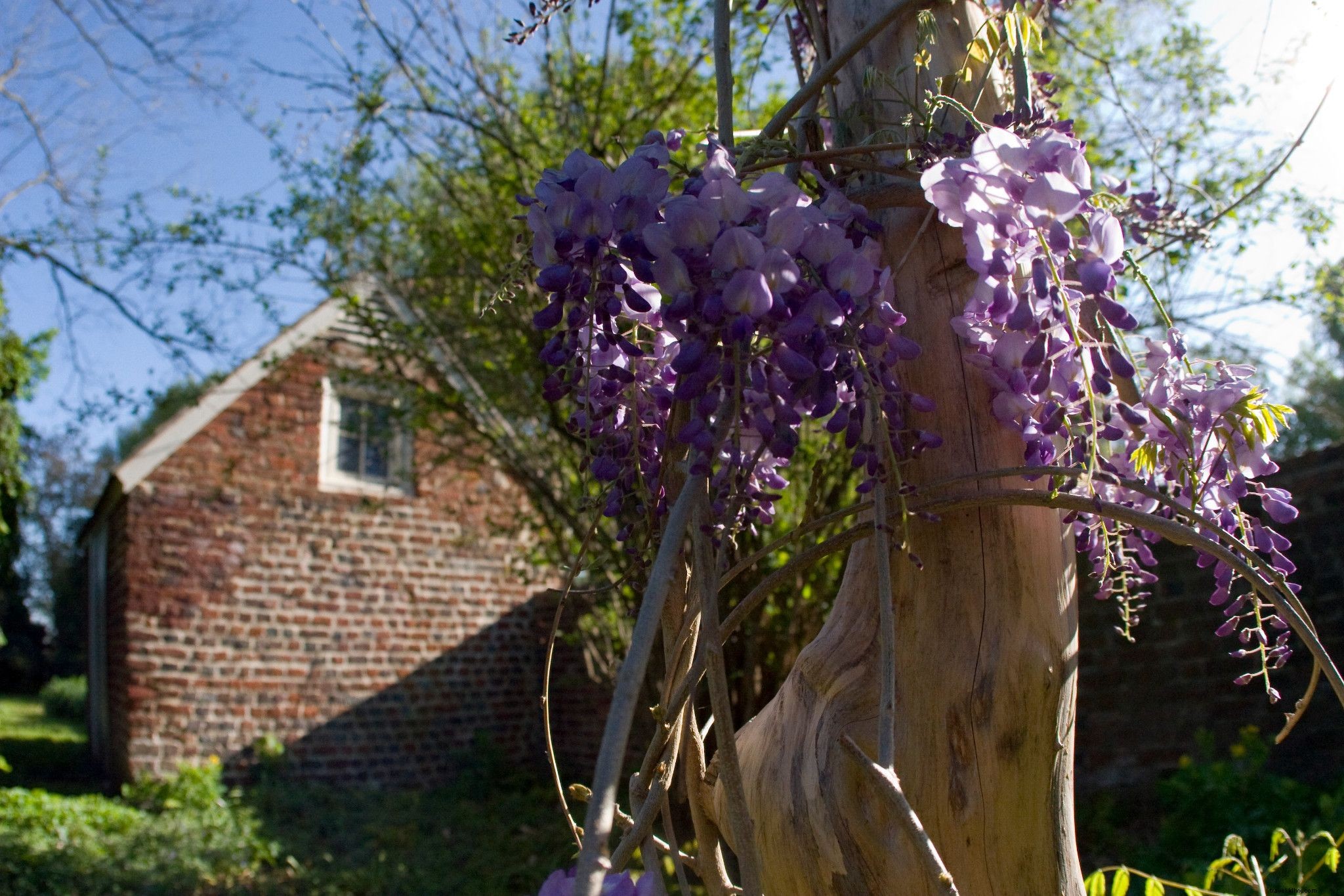Historic Garden Week 2021: Explore Virginia s Most Stunning Historic Gardens in Spring Bloom