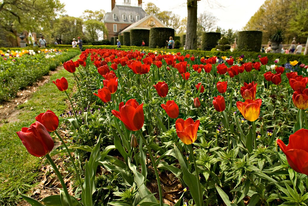 Historic Garden Week 2021: Explore Virginia s Most Stunning Historic Gardens in Spring Bloom