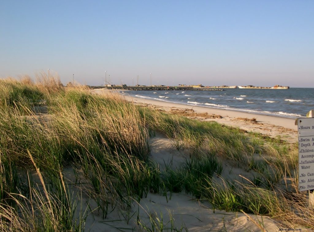 Ultimate Virginia Camping Guide: Expert Tips and 10 Beginner-Friendly Campgrounds