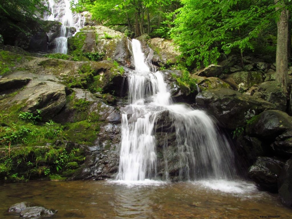 Ultimate Virginia Camping Guide: Expert Tips and 10 Beginner-Friendly Campgrounds