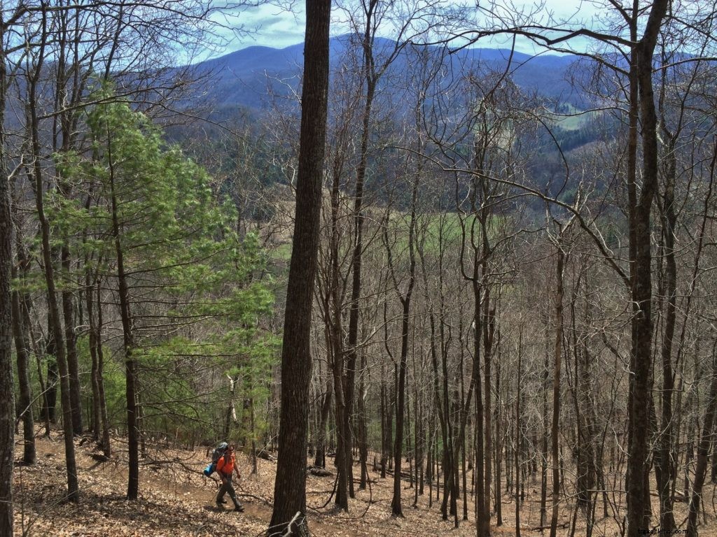 Ultimate Virginia Camping Guide: Expert Tips and 10 Beginner-Friendly Campgrounds