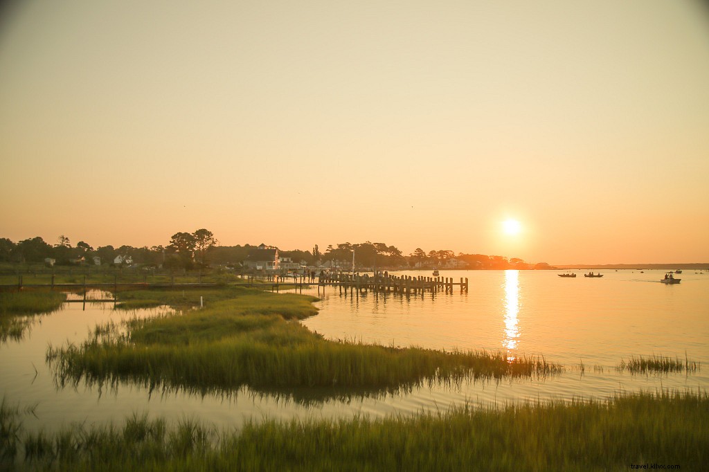 Ultimate Virginia Camping Guide: Expert Tips and 10 Beginner-Friendly Campgrounds