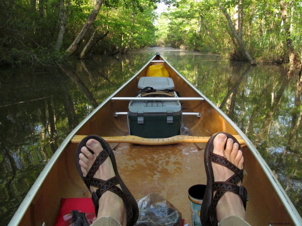 Ultimate Virginia Camping Guide: Expert Tips and 10 Beginner-Friendly Campgrounds