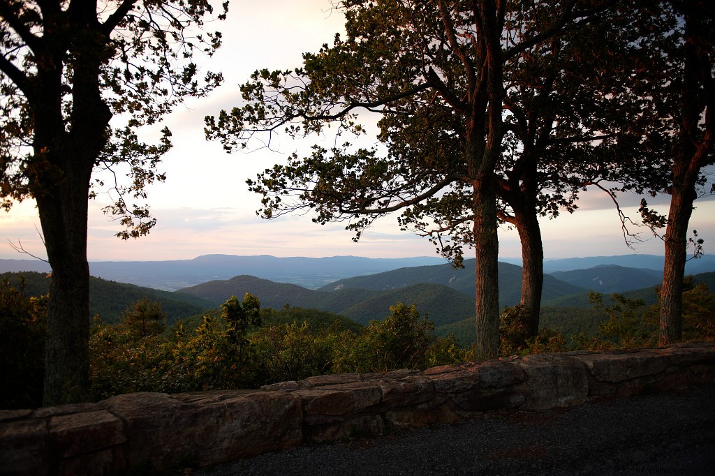 Ultimate Guide to Camping in Shenandoah National Park: Campgrounds, Tips, and Essential Information