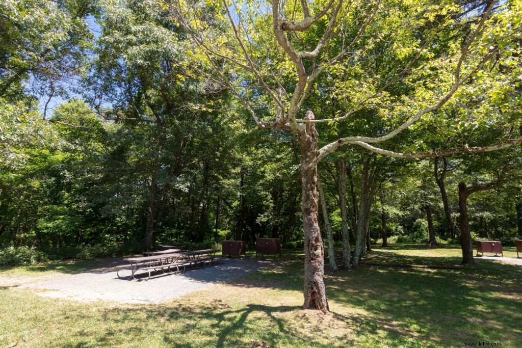 Ultimate Guide to Camping in Shenandoah National Park: Campgrounds, Tips, and Essential Information