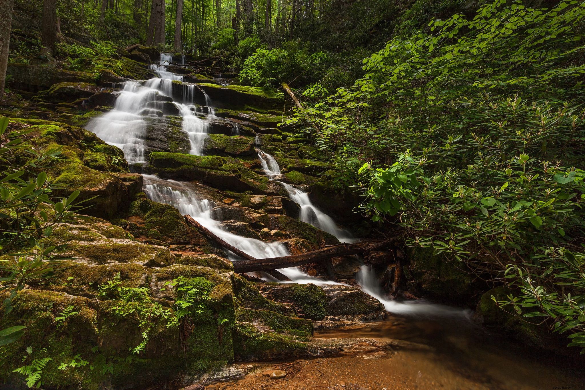 Virginia s Top 10 Beginner Hiking Trails: Scenic Routes, Essential Tips & Eco Advice
