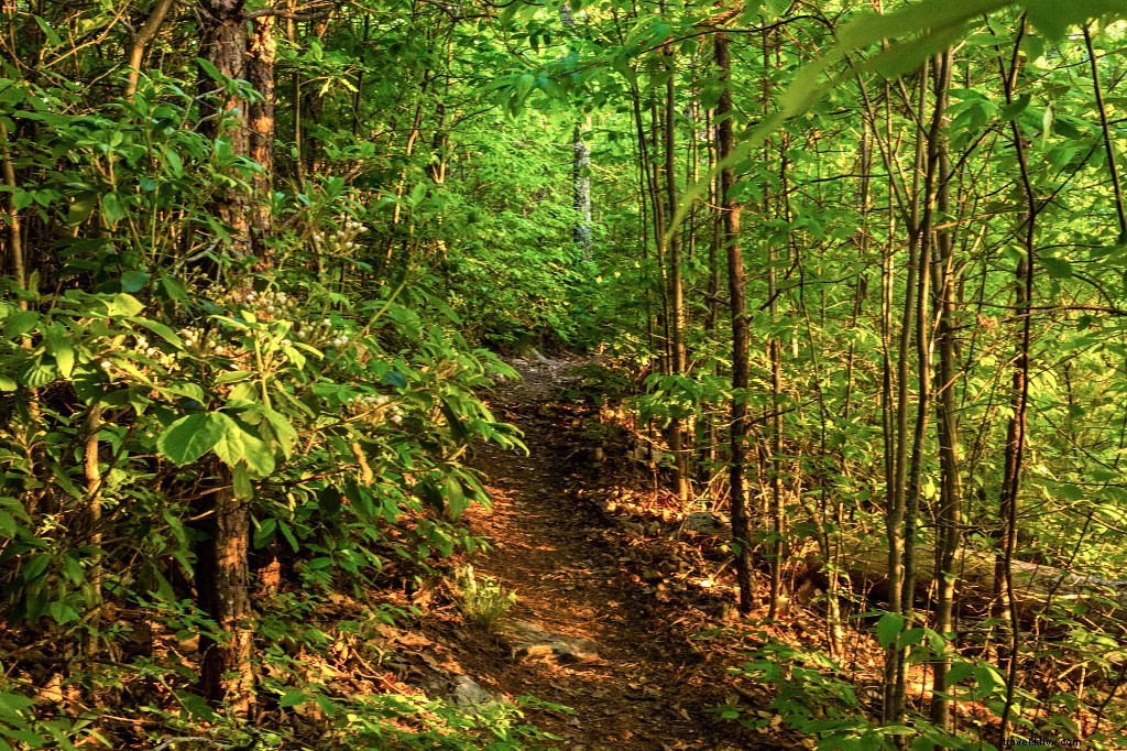 Virginia s Top 10 Beginner Hiking Trails: Scenic Routes, Essential Tips & Eco Advice