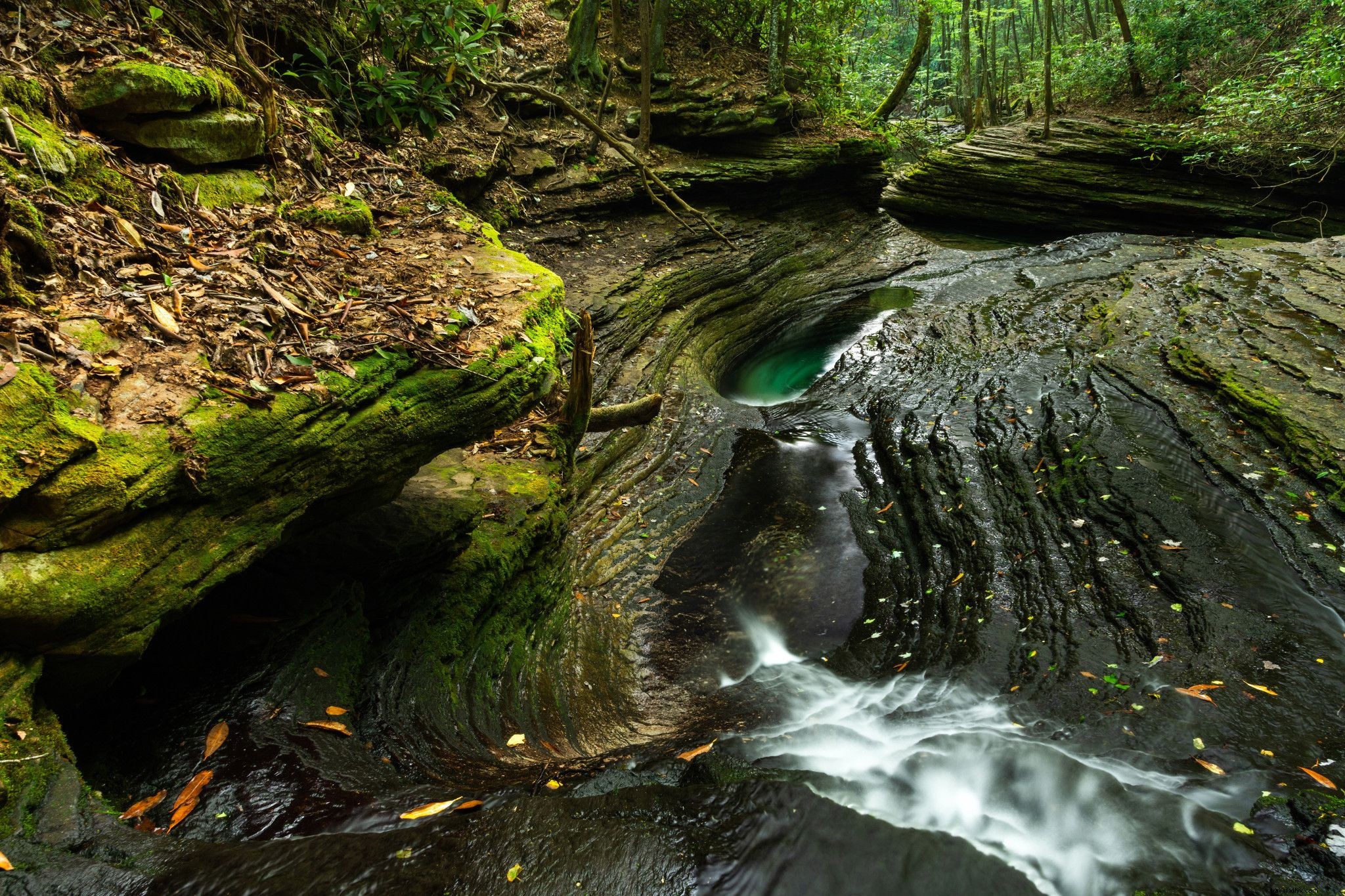 WanderLove: Ultimate 6-Day Road Trip Itinerary in Southwest Virginia s Heart of Appalachia