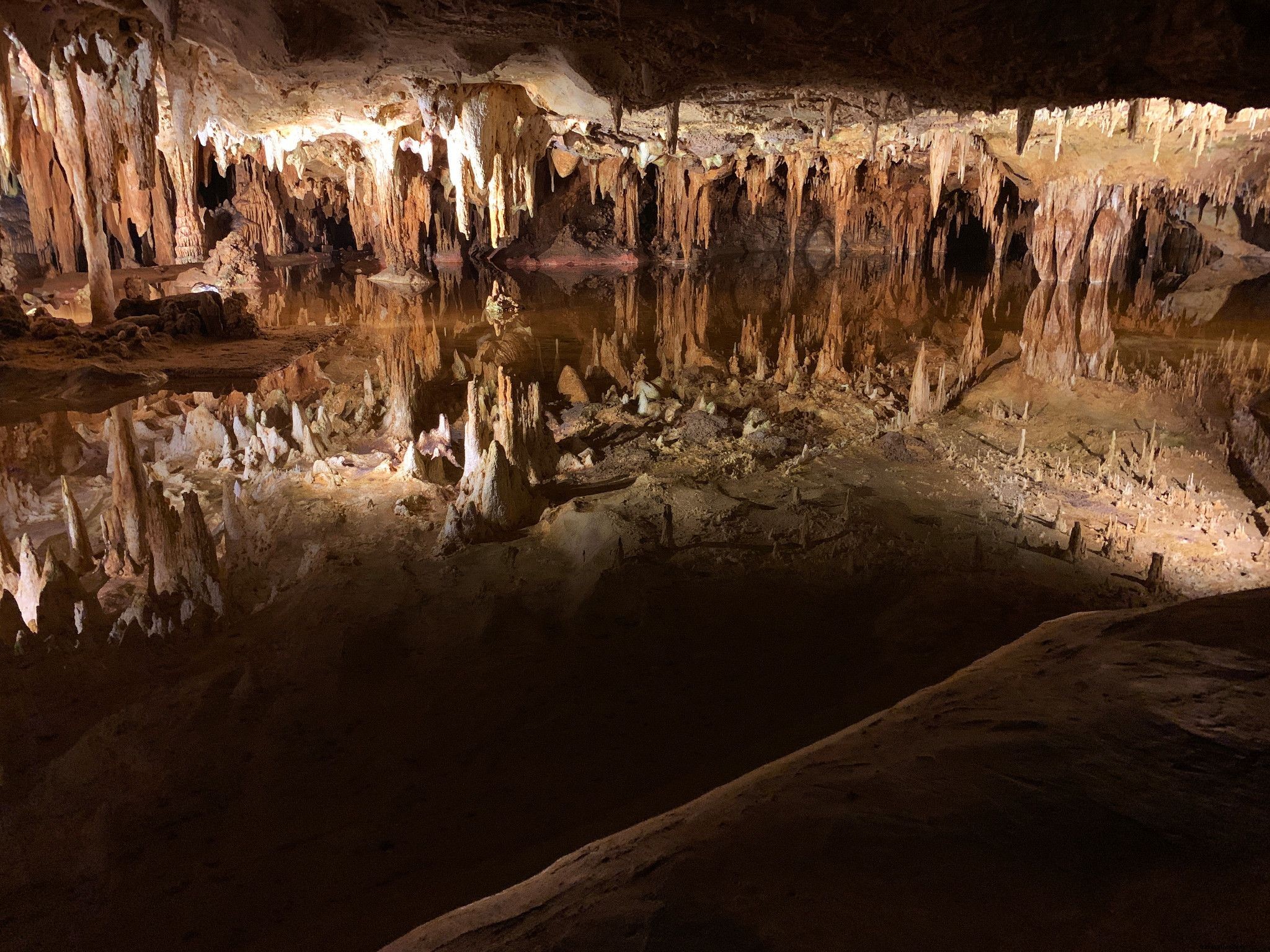 16 Stunning Instagram-Worthy Winter Destinations in Virginia for Cozy Escapes