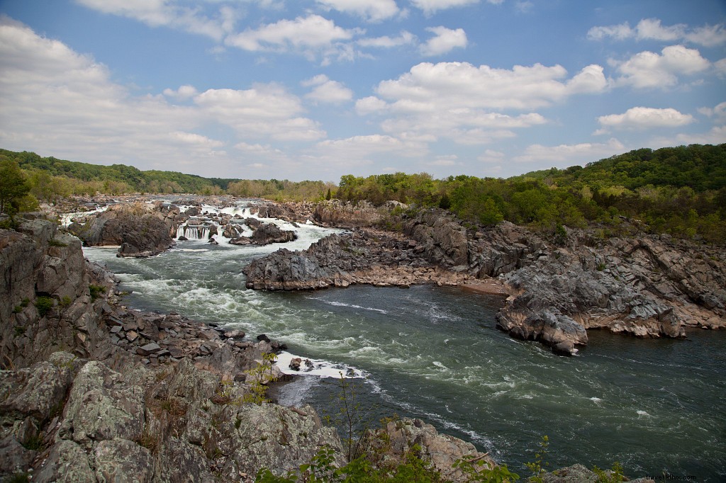 Top 5 Family-Friendly Scenic Hikes in Virginia: Stunning Trails for All Ages
