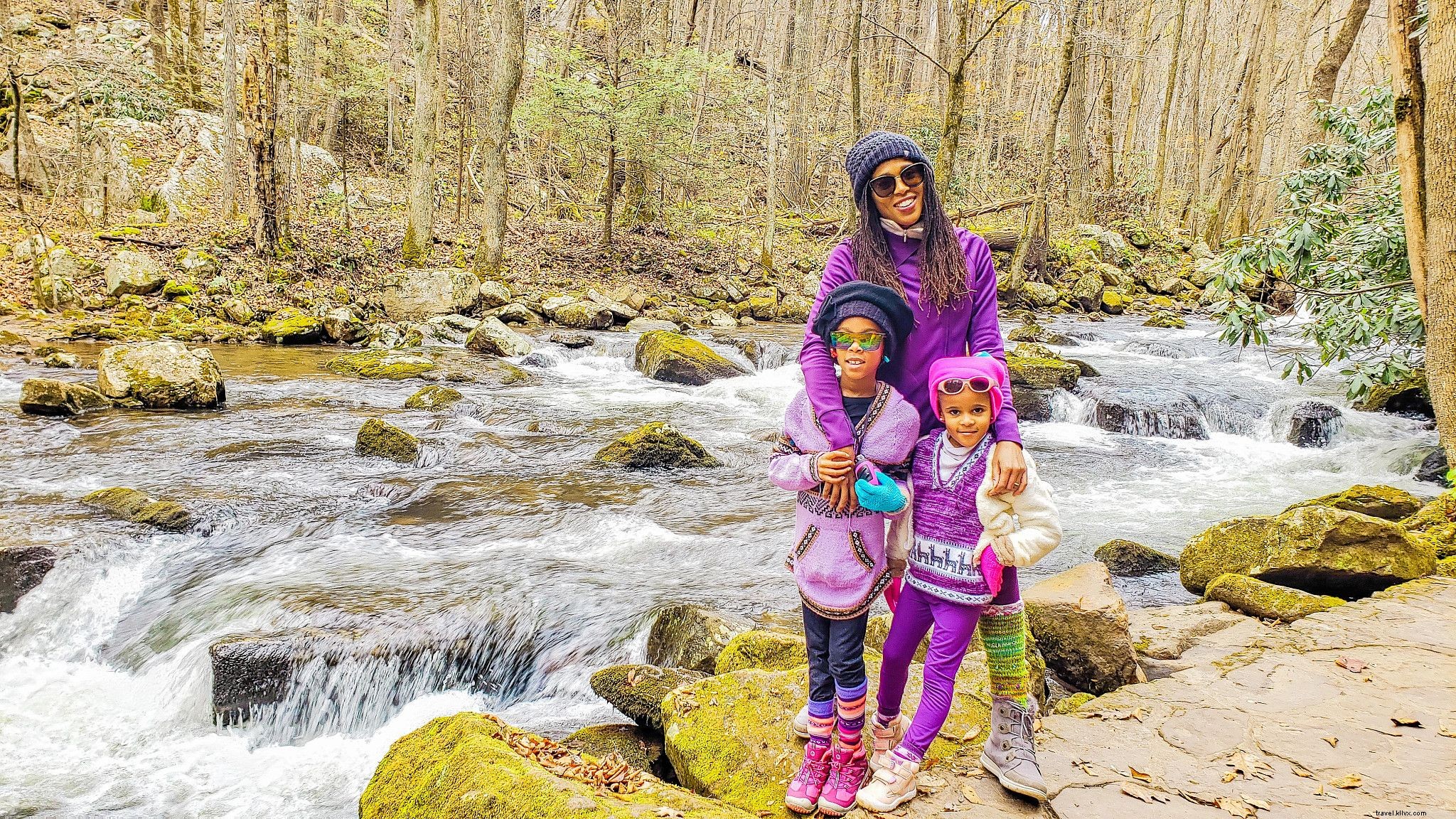 Top 5 Family-Friendly Scenic Hikes in Virginia: Stunning Trails for All Ages