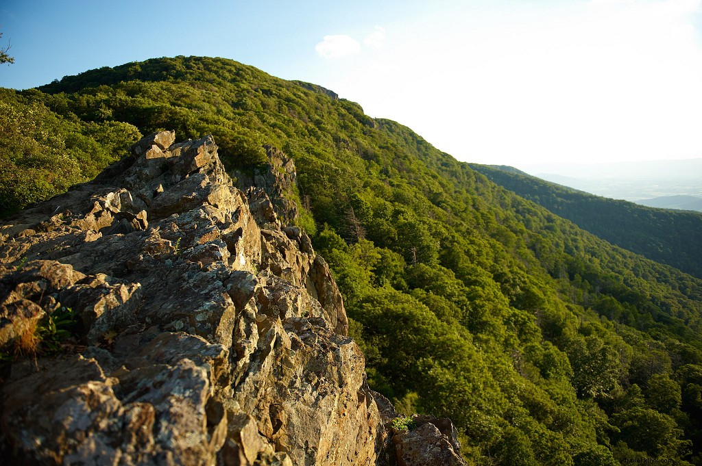 Top 5 Family-Friendly Scenic Hikes in Virginia: Stunning Trails for All Ages
