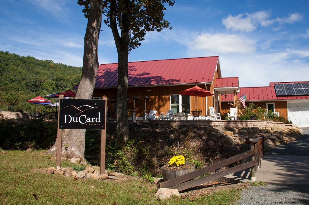 WanderLove: Your Ultimate Scenic Road Trip Guide to Madison County, Virginia