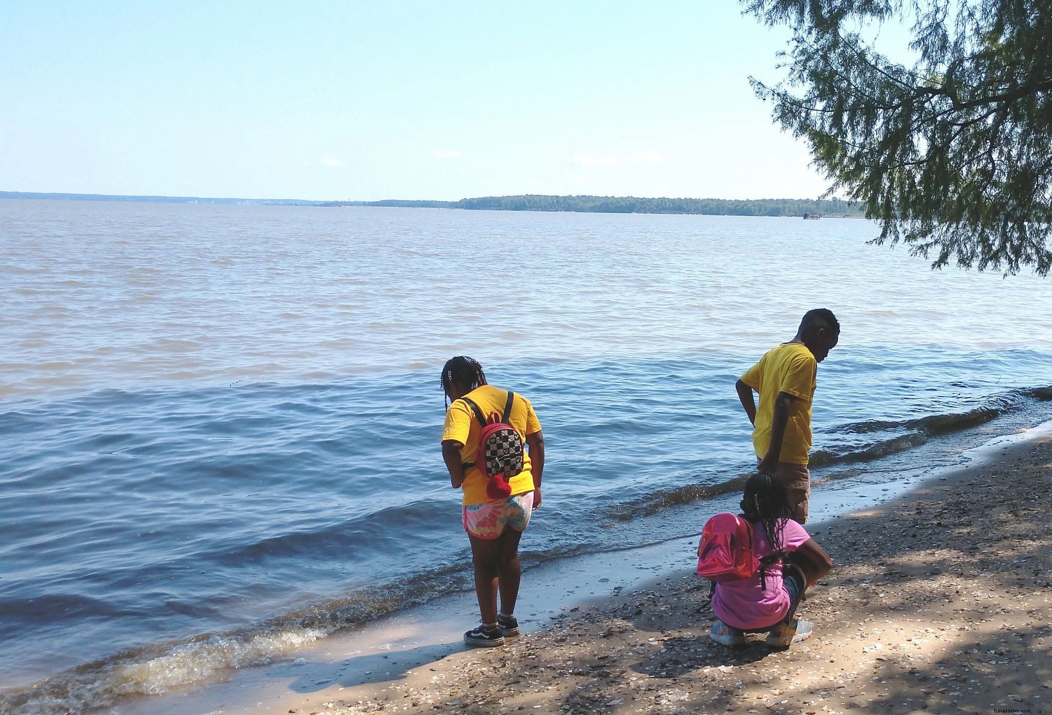 WanderLove: Ultimate Road Trip Guide from Williamsburg to Norfolk, Virginia