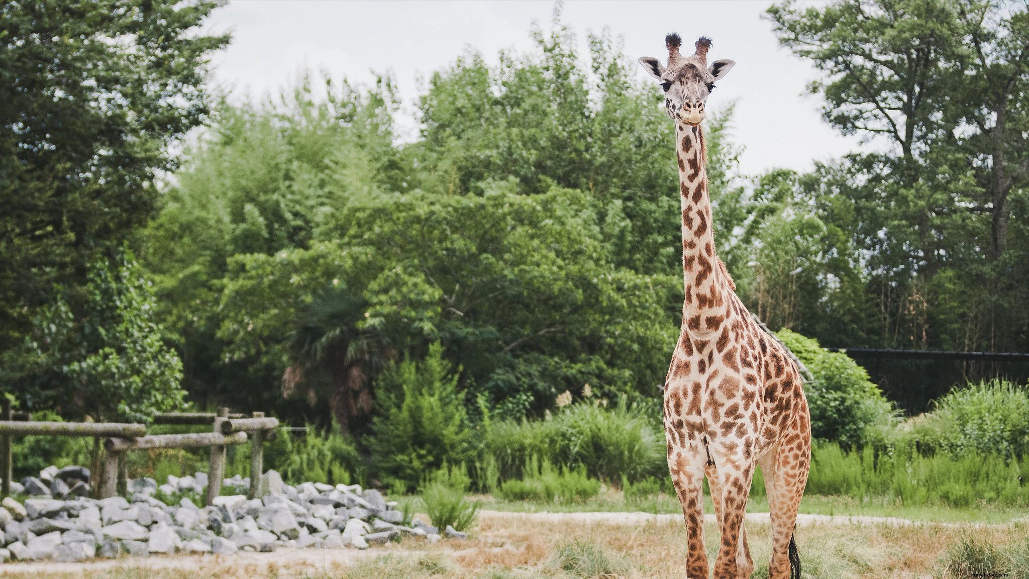 WanderLove: Ultimate Road Trip Guide from Williamsburg to Norfolk, Virginia