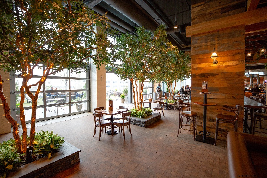 WanderLove: Ultimate Road Trip Guide from Williamsburg to Norfolk, Virginia