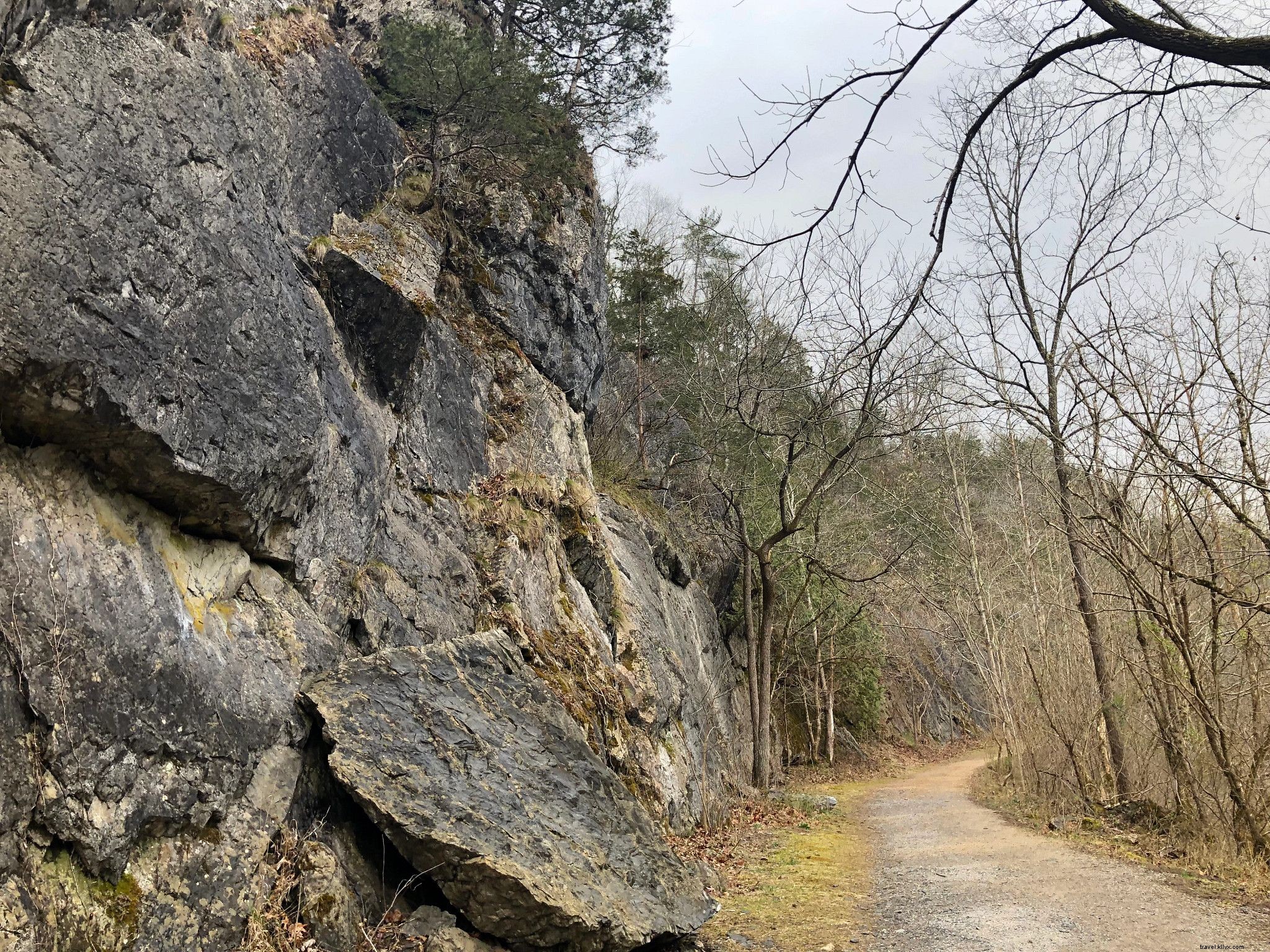 WanderLove: The Ultimate Road Trip Guide to Lexington & Rockbridge County