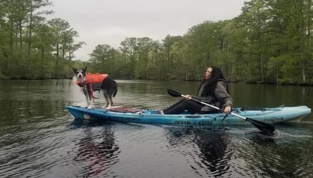 WanderLove: Your Ultimate Road Trip Guide to Chesapeake, Virginia