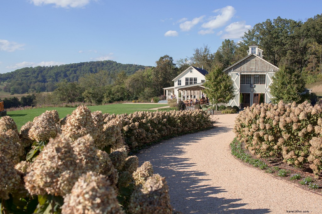 WanderLove: The Ultimate Guide to a Girls  Weekend Getaway in Charlottesville, VA